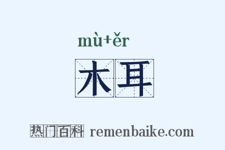 木耳是什么意思的图片